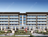 联发臻境|礼惠双节，臻启新品