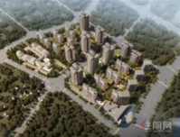 世茂·金科博翠江山：二期95-118㎡户型预约中