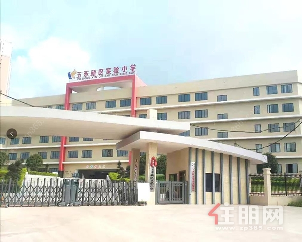 玉东新区实验小学.jpg