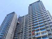 碧桂园城市之光｜9月家书，万物正繁茂，述家境深情