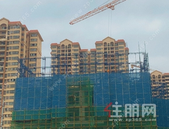 碧桂园金科·博园府|时光执笔 美好向新