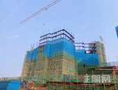 碧桂园金科·博园府丨【3月家书】暖春焕新颜 美好终可期