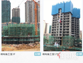 仲夏美好，幸福家速| 碧桂园金科·博园府6月家书 共鉴美好新颜