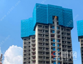 碧桂园金科·博园府|暑去秋韵起 家书如约至