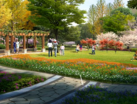 圣世东林府丨正式获批!拟投资1.1亿!桂平又将新建一所小学，看看在你家附近吗…？