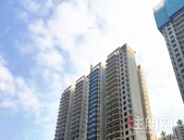 阳光城文澜府｜二月家书，小年至，家音更浓