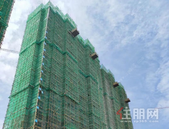 大唐世家9月家书 | 金秋时节,共鉴美好家音!