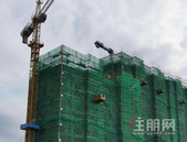 【大唐世家】工程进度家书 | 品质赋能生活，共鉴美好家音！