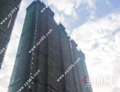 大唐世家1月家书丨传家音，匠心不负所期！