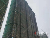 贵港大唐世家｜五月家书|夏日繁盛，美好向阳而生！