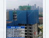 阳光城江山璟原 | 五月家书 初夏如约而至 美好向阳而生