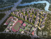 中海入邕10载钜惠礼献，携* 具“投”号红盘奇绩归来