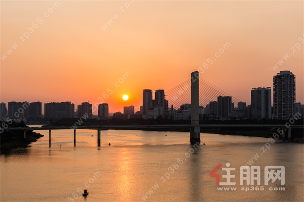 实景图