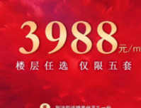 云星·钱隆天下中秋特惠 清栋一口价3988元/㎡！