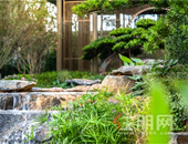 双珑原著凭什么吸引南宁峯层圈层趋之？