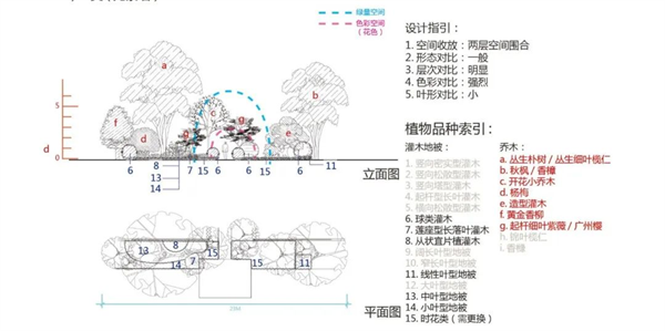 龙湖植物种植指引