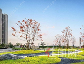 碧桂园的“好礼物”全新落地 诠释“好房子”的内核