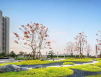 碧桂园的“好礼物”全新落地 诠释“好房子”的内核