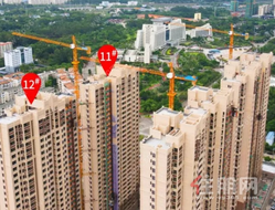中地·滨江壹號二区|8月份**工程进度播报