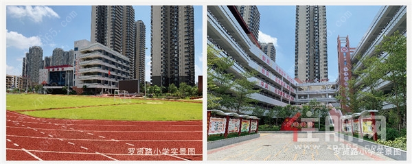 罗贤路小学实景图.jpg