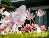 精致焕新，龙湖启幕南宁西城人居时代