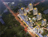 龙湖三月三锦鲤震撼“价”到