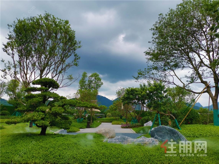 龙光莲花悦府