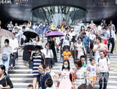 3000+人到场的檀境博物展，发生了怎样的奇遇？