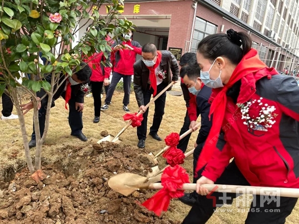 木兰河小学园林景观开工建设活动现场