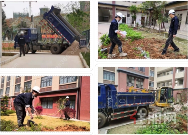 木兰河小学园林景观效果图