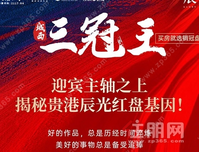 城西三冠王|迎宾主轴之上，揭秘贵港辰光红盘基因！