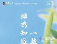 贵港辰光|七月家书 蝉鸣知盛夏，一盏递家音~