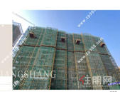 金科集美江上｜新春寄家音 万事皆如意