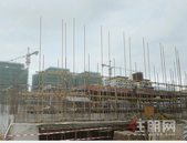 精通熙悦11月家书丨冬意渐浓 执笔传家音