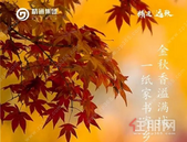精通熙悦丨10月家书 金秋香溢满城，一纸家书寄乡音