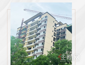 【覃塘精通熙悦】6月家书丨万物繁盛，家期正好