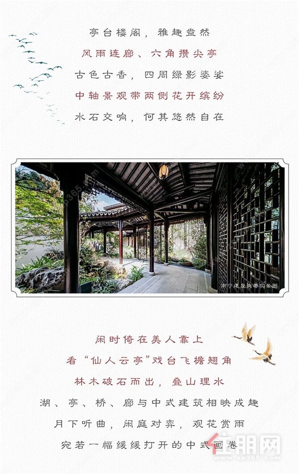 建发央著