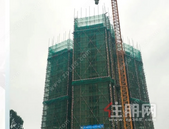 金科·博雅4月家书 | 聆听时光耳语，静候家景绽放