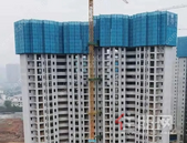 天空之城 2月家书｜春风执笔，万物迎新，共鉴美好