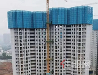 天空之城 2月家书｜春风执笔，万物迎新，共鉴美好