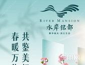 水岸铭都|【工程播报】三月万物繁盛 共鉴家成长