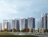 锦云湖光｜盛夏暖阳 家音已至