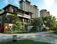 走进西派，更懂真正的国匠之道