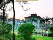 交投碧桂园星悦湾丨冬日暖阳 家音如期