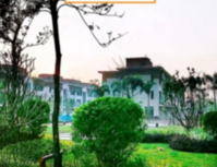 交投碧桂园星悦湾丨冬日暖阳 家音如期