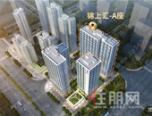 锦上汇|炒鞋太“鞋”门，还是来这里投资更靠谱