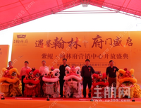 燃沸白州，全城瞩目 | 紫鲲·翰林府营销中心盛大开放