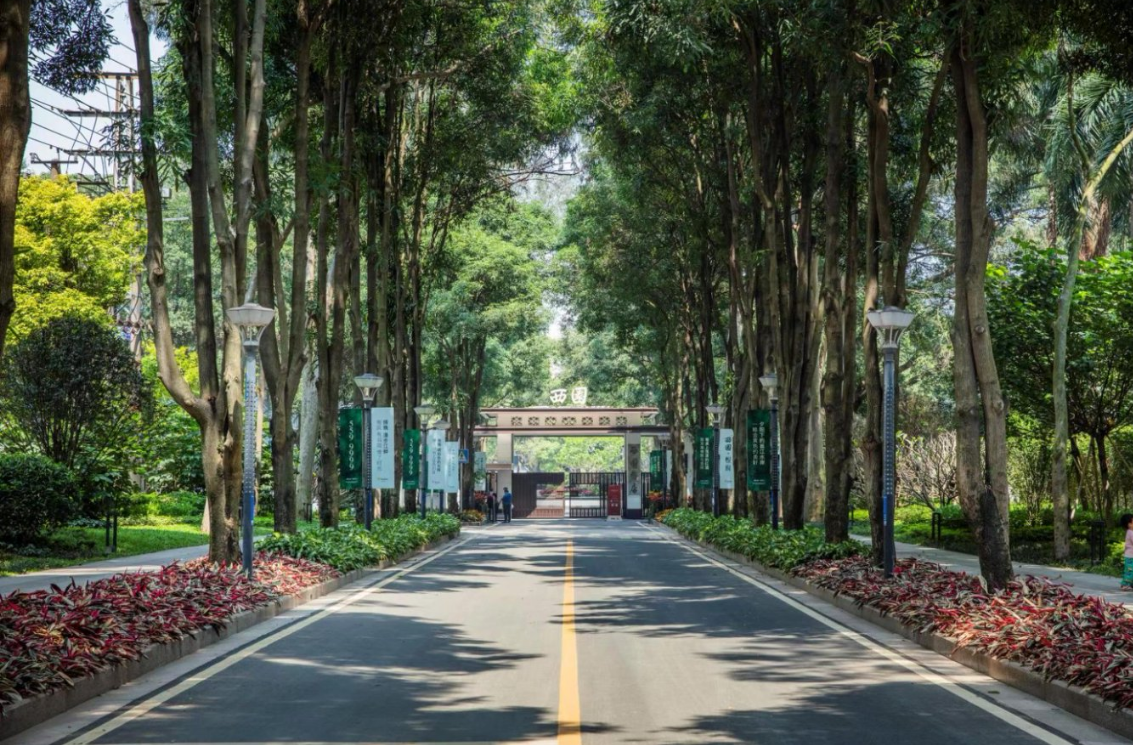 微信图片_20251103153108_720_327.png 微信图片_20251103153108_720_327.png