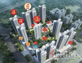 平南碧桂园 | 社区商铺 来自家门口的美好未来