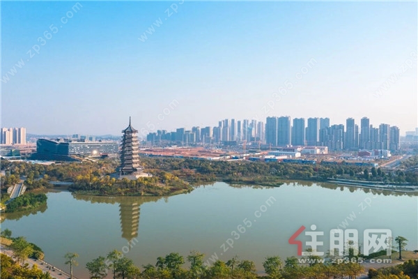 丨五象湖公园实景图 丨五象湖公园实景图